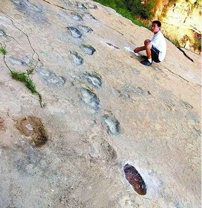 陕西发现远古时代恐龙脚印化石
